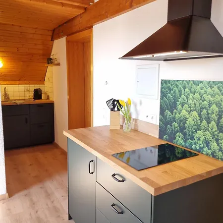 Lägenhet Haus Freudig - Tannenblick Höchenschwand