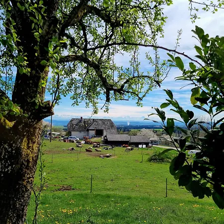 Haus Freudig - Tannenblick *