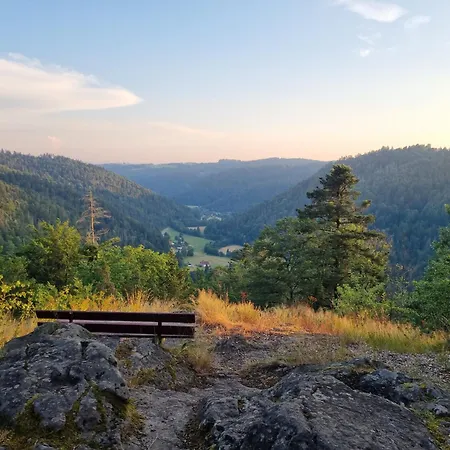 Haus Freudig - Tannenblick Lägenhet