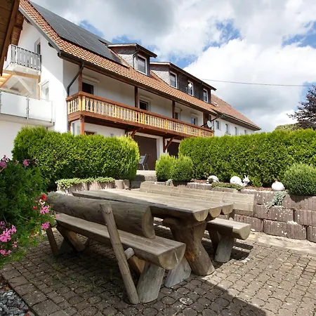 Haus Freudig - Tannenblick 아파트