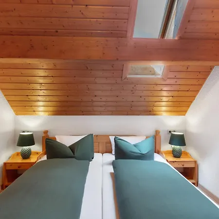 Haus Freudig - Tannenblick דירה הוכנשוואנד