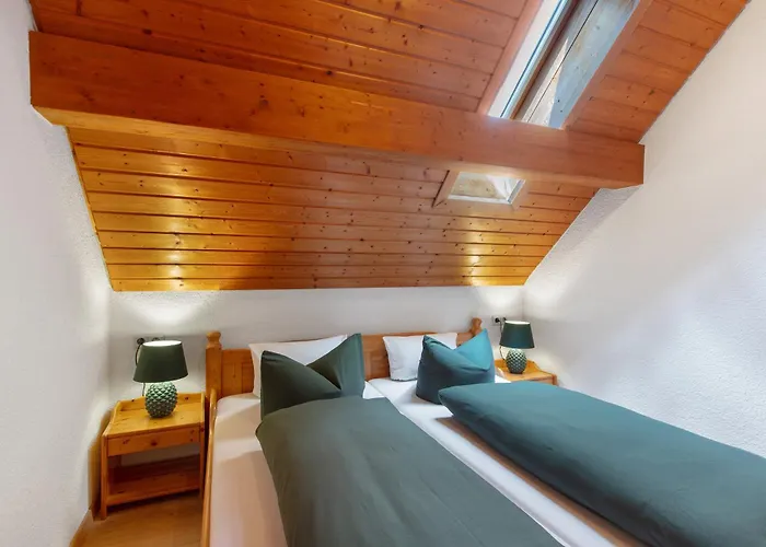 Haus Freudig - Tannenblick 公寓 *