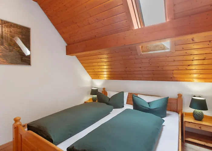 Haus Freudig - Tannenblick 公寓