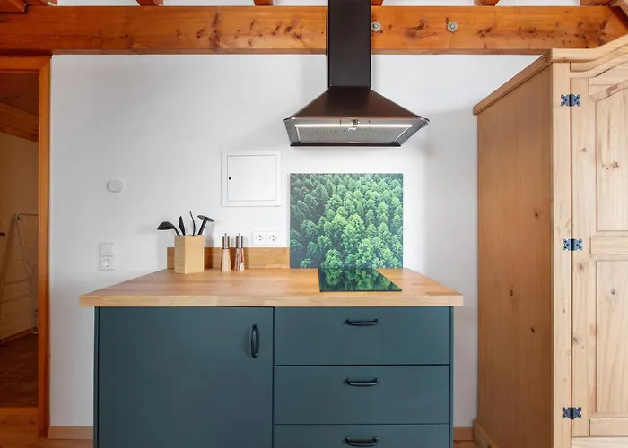 Haus Freudig - Tannenblick 公寓