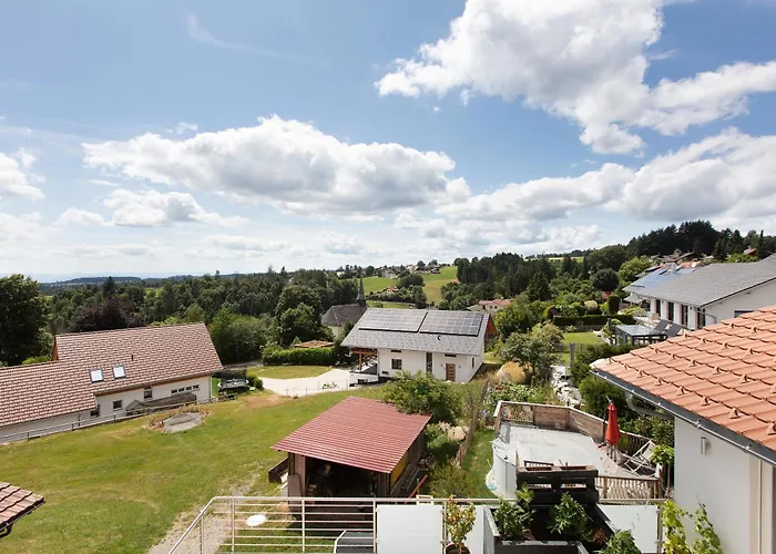 Haus Freudig - Tannenblick 公寓 霍兴斯旺德