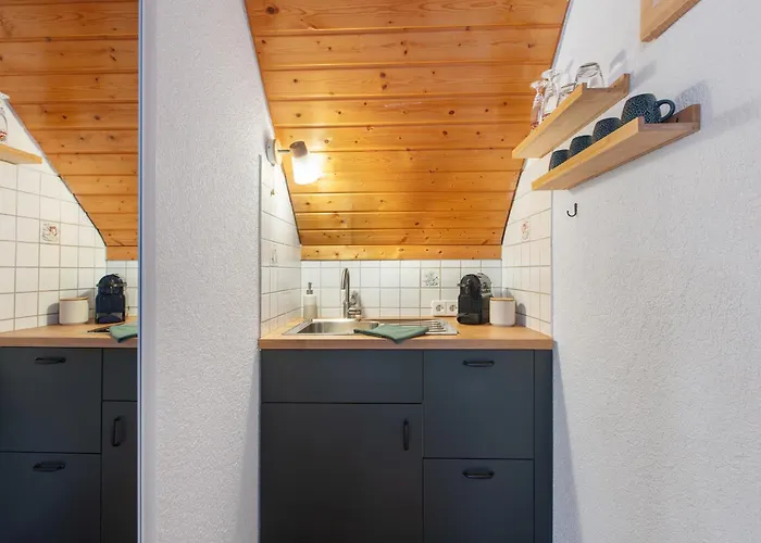 公寓 Haus Freudig - Tannenblick 霍兴斯旺德