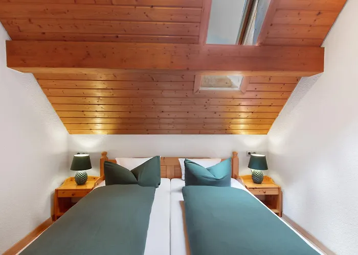 Haus Freudig - Tannenblick 公寓 霍兴斯旺德